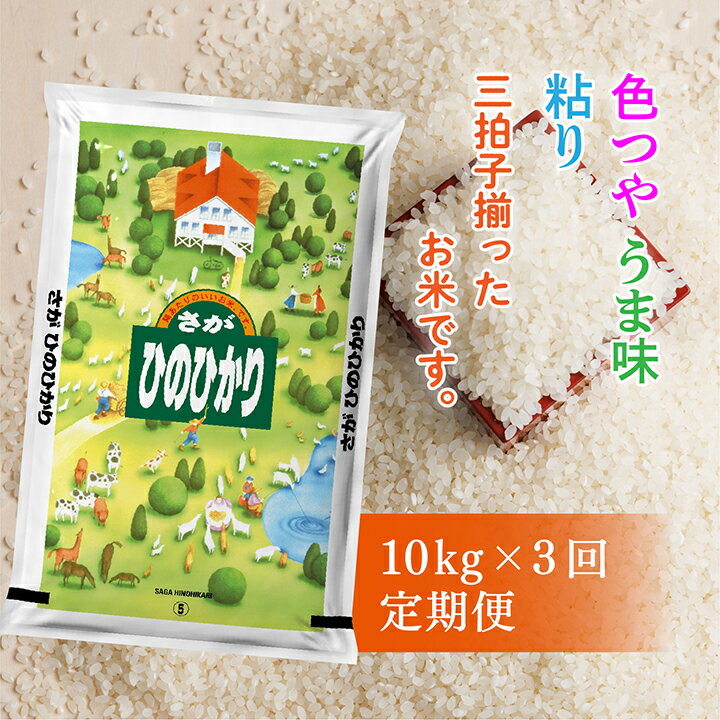 [ 令和5年産 米 ] ひのひかり 定期便 10kg×3回 | 佐賀県産 ひのひかり 定期便 10kg ( 5kg × 2袋 )×3回 d-65