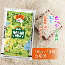 【ふるさと納税】【 令和5年産 】 ひのひかり 定期便 10kg×12回 | 佐賀県産 ヒノヒカリ 定期便 10kg （ 5kg × 2袋 ）×12回 f-63