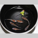 【ふるさと納税】z-17 高級ラメメダカ3匹セット