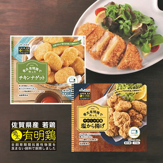 【ふるさと納税】 佐賀県産 骨太 有明鶏 バラエティセット チキンナゲット 塩 から揚げ ササミ チーズ カツ 冷凍 b-424のサムネイル