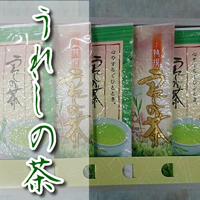 緑茶 嬉野茶(うれしの茶)特撰・孔子セット(b-164)