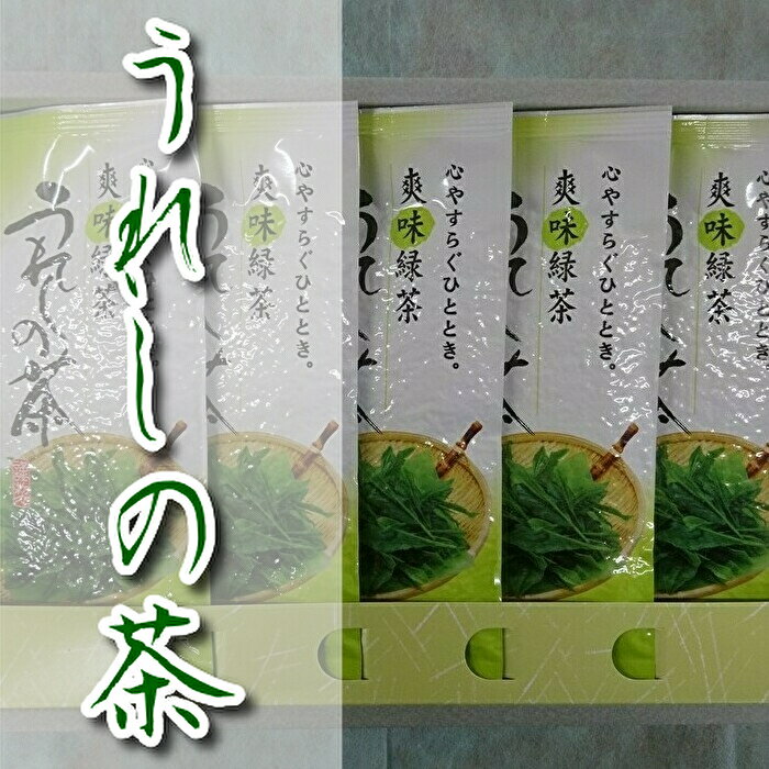 緑茶 嬉野茶(うれしの茶)上撰セット(z-54)