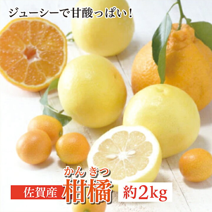 柑橘 詰め合わせ 佐賀 産 約 2kg 佐賀県 産 柑橘 かんきつ みかん オレンジ 約2kg 柑橘類 旬 人気 詰め合わせ b-375