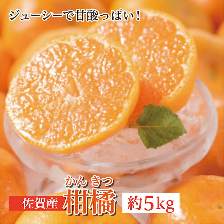 佐賀産 柑橘 ( かんきつ ) 約5kg 柑橘類 c-104