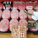 【ふるさと納税】b−273　佐賀牛使用　お弁当ハンバーグ