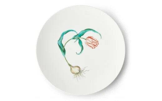 8位! 口コミ数「0件」評価「0」Tulips φ29cm Plate H837