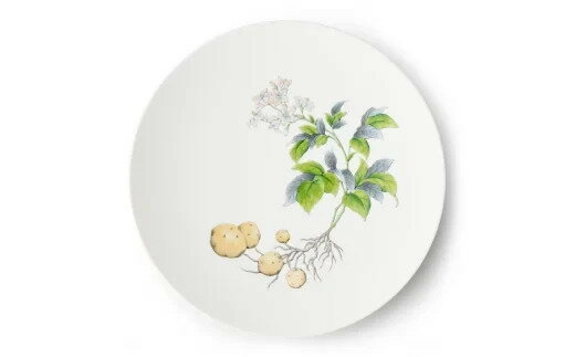 7位! 口コミ数「0件」評価「0」Potatoes φ29cm Plate H833