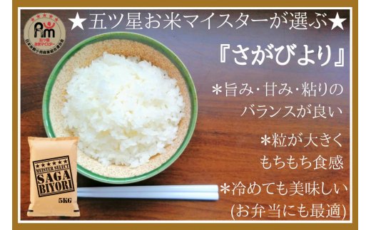 【ふるさと納税】【定期便】さがびより【白米】5kg×3回《マイスターセレクト》 B549