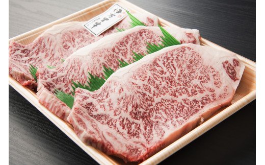 【ふるさと納税】伊万里牛サーロインステーキ1.2kg J493