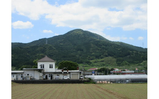 【ふるさと納税】南波多町まちづくり運営協議会の...の紹介画像3