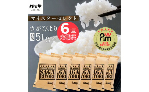 【ふるさと納税】【定期便】さがびより【白米】5kg×6回 B373のサムネイル