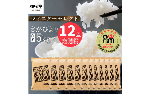 【ふるさと納税】【定期便】さがびより【白米】5kg×12回 