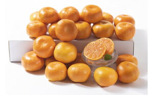 【ふるさと納税】佐賀の旬の柑橘をお届け 佐賀産かんきつ5kg B397