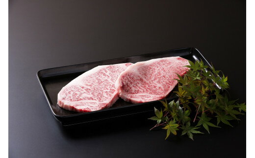 【ふるさと納税】佐賀牛ボリュームセット 6回便 6.9kg ヒレ 赤身 モモスライス サーロイン ハンバーグ J668