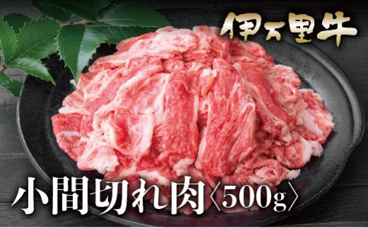 【ふるさと納税】伊万里牛 A5 小間切れ 500g J622