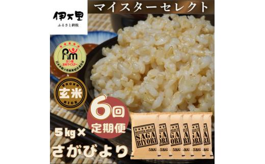 【ふるさと納税】【定期便】【玄米】さがびより5kg×6回 B560