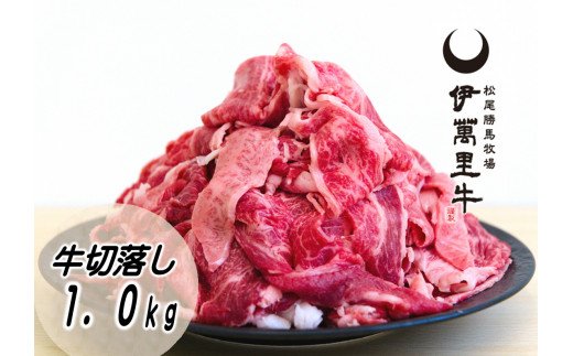 伊万里牛切り落とし 1kg (500g×2) 小分け