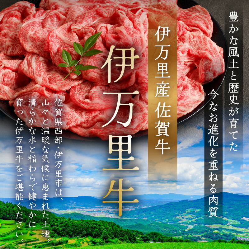 【ふるさと納税】伊万里牛 すき焼き 焼肉 ステーキ 用＜カット＋内容量＋発送時期が選べる！＞【佐賀牛 牛肉 ブランド牛 黒毛和牛 小分け 赤身 モモスライス カルビ 焼き肉 厳選 部位 400g 500g 800g 1kg 1.2kg】
