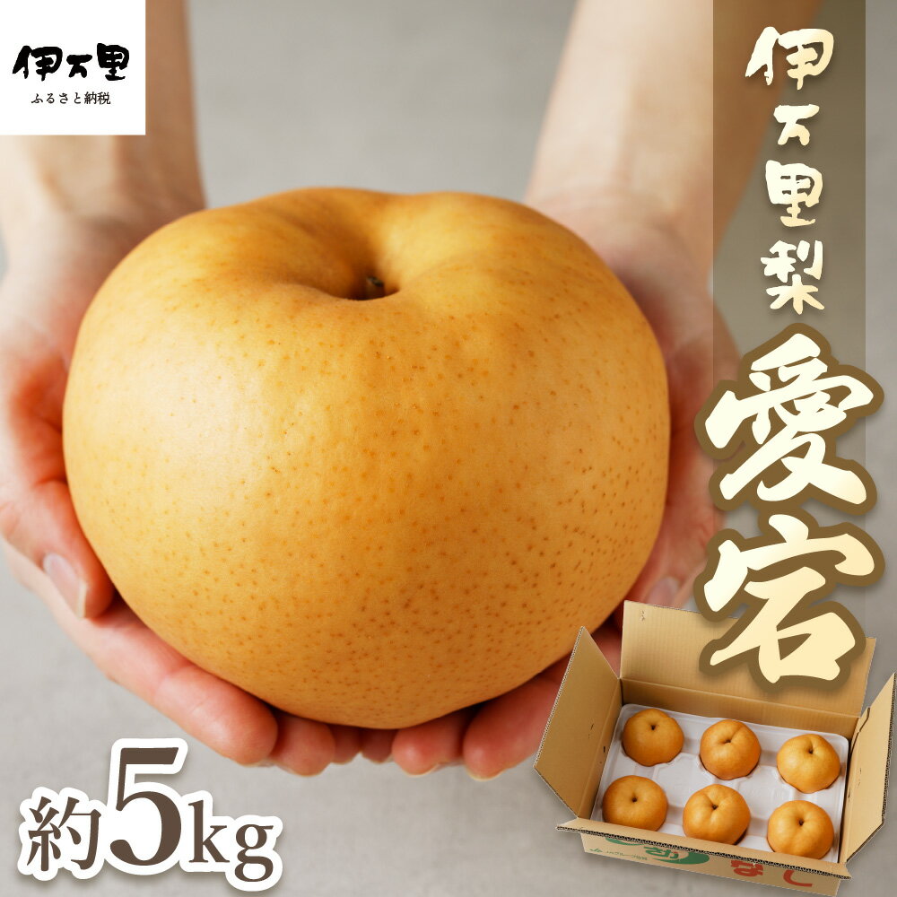 【令和6年産先行予約】【数量限定】伊万里梨 「愛宕」 約5kg 大型種 B164