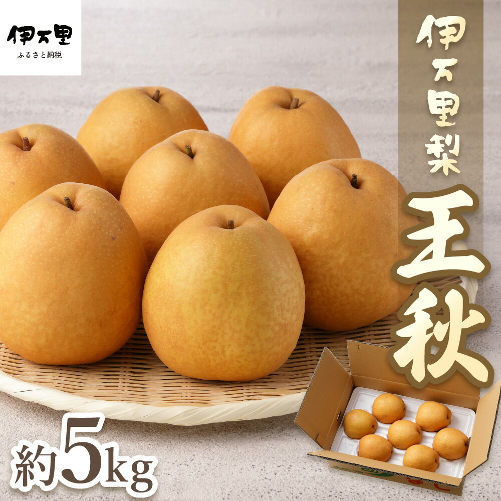 [令和6年産先行予約][数量限定]伊万里梨「王秋」 約5kg