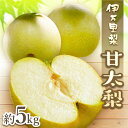 【ふるさと納税】【令和7年産先行予約】【数量限定】【2025年産先行予約】伊万里梨 「甘太」 約5kg ご自宅用におすすめ B762 【ふるさと納税 先行予約 梨 ふるさと納税 果物 なし 期間限定 】