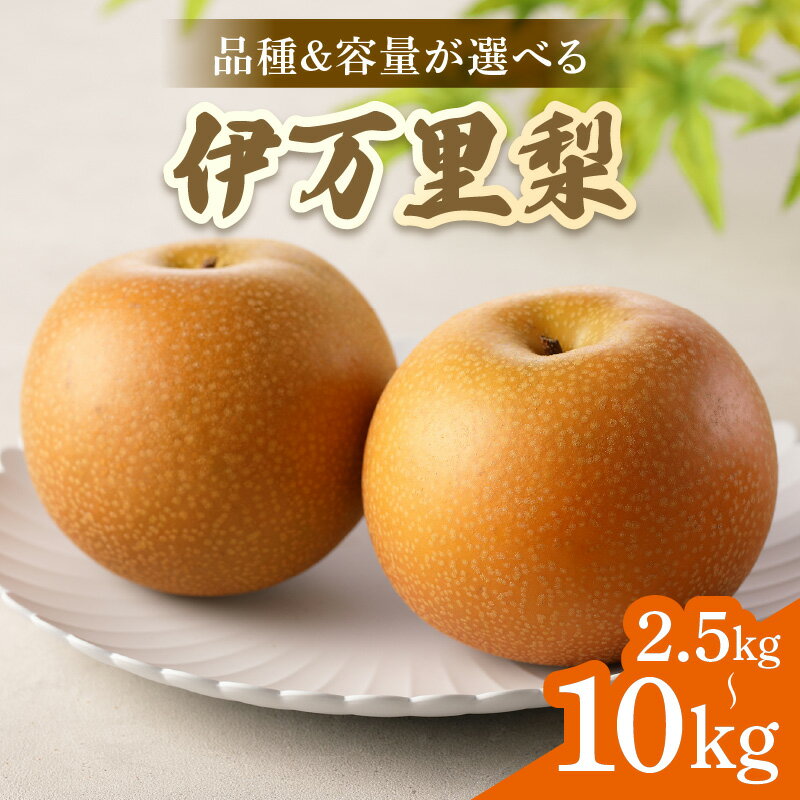 【ふるさと納税】【2026年産先行予約】伊万里梨 ＜品種・容量が選べる／幸水 ・豊水・あきづき・新高・王秋・甘太・愛宕 ＞（ 2.5kg・5kg・10kg ）【 ふるさと納税 先行予約 梨 伊万里梨 幸水 ふるさと納税 果物 フルーツ なし 】