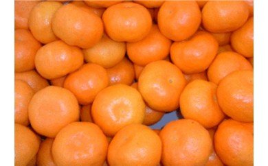 【ふるさと納税】夏場に食べられる!ハウスみかん 1kg 化粧箱入り B727