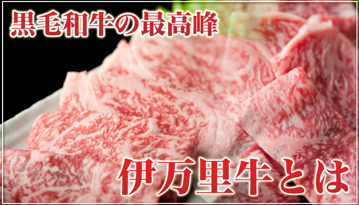 【ふるさと納税】伊万里牛 赤身ブロック 500g ステーキローストビーフ BBQにおすすめ J716