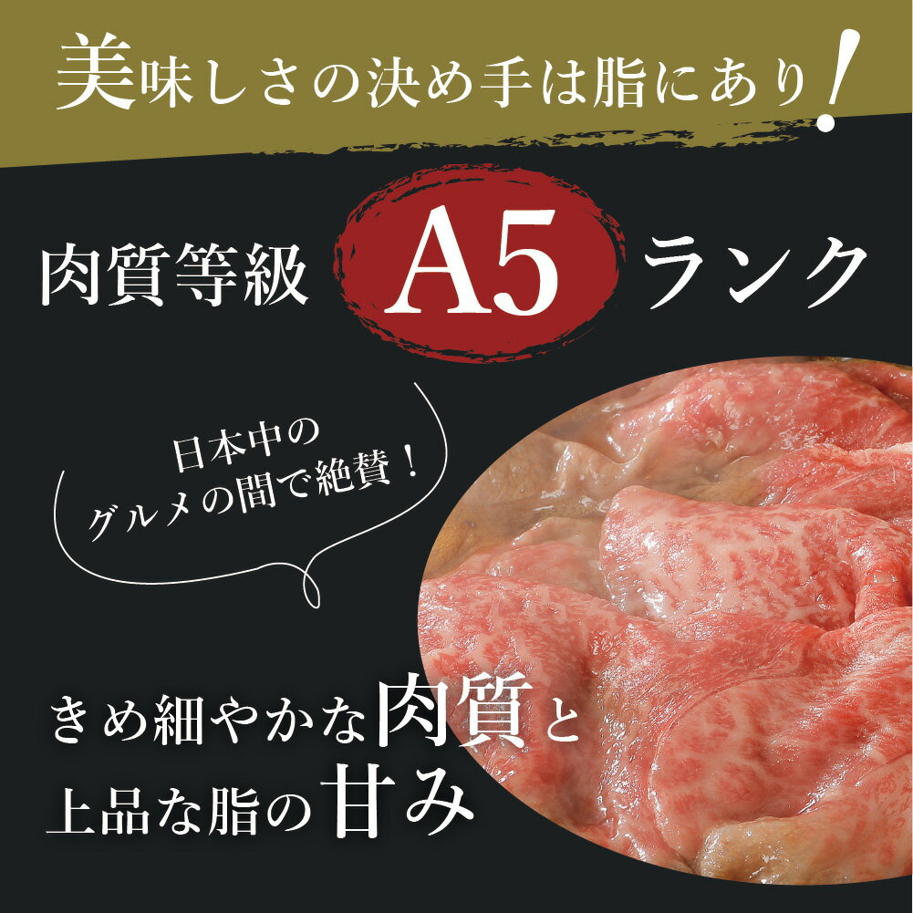 【ふるさと納税】伊万里牛(A5)かた薄切り700g J007