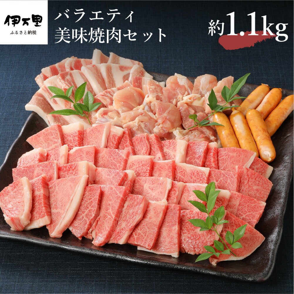 【ふるさと納税】バラエティ美味 焼肉セット 牛肉 豚肉 鶏肉 ウィンナー 計1.1kg J298