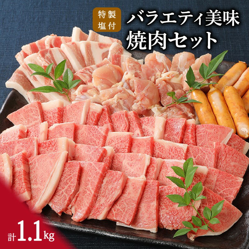 バラエティ美味 焼肉セット 牛肉 豚肉 鶏肉 1.1kg