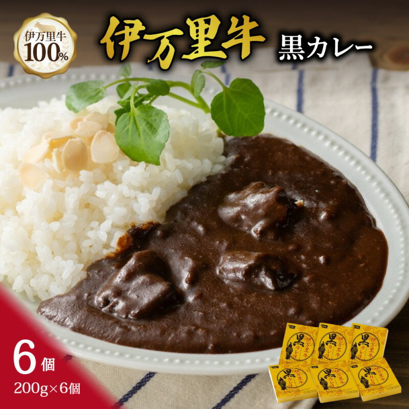 伊万里牛黒カレー 6食分 (200g×6箱)