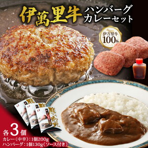 【ふるさと納税】伊萬里牛100%勝ハンバーグ・カレーセット各3個入り J1042【 惣菜 グルメ ハンバーグ カレー 人気 ふるさと納税 惣菜 伊万里市 】