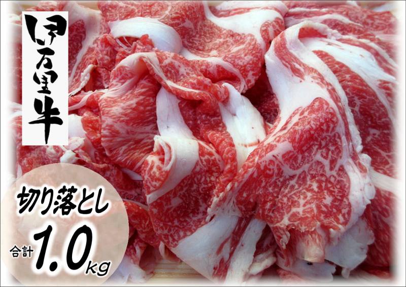 【ふるさと納税】伊万里牛切り落とし 1kg（500g×2パック） J600