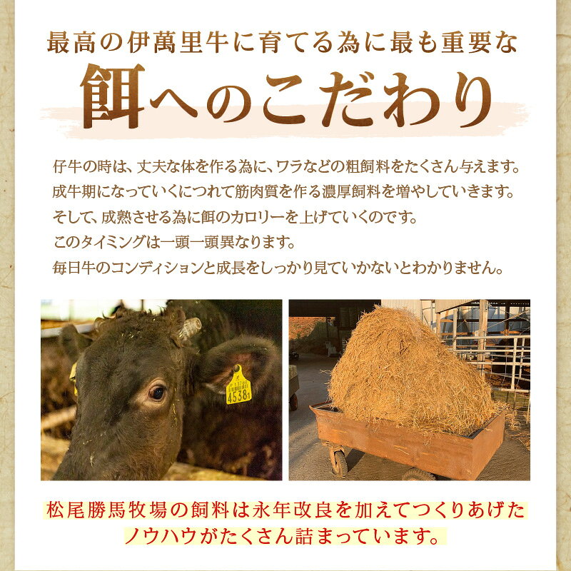 佐賀県伊万里市の画像3
