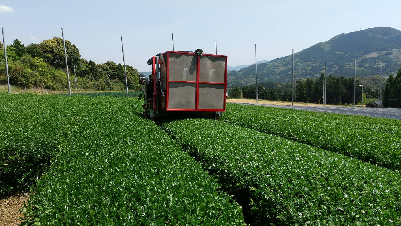 【ふるさと納税】平島さんの伊万里深むし緑茶 016-A034