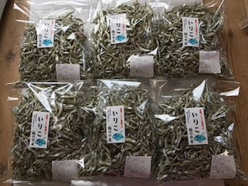 とれたていりこ漁師直送350g×6個 C086