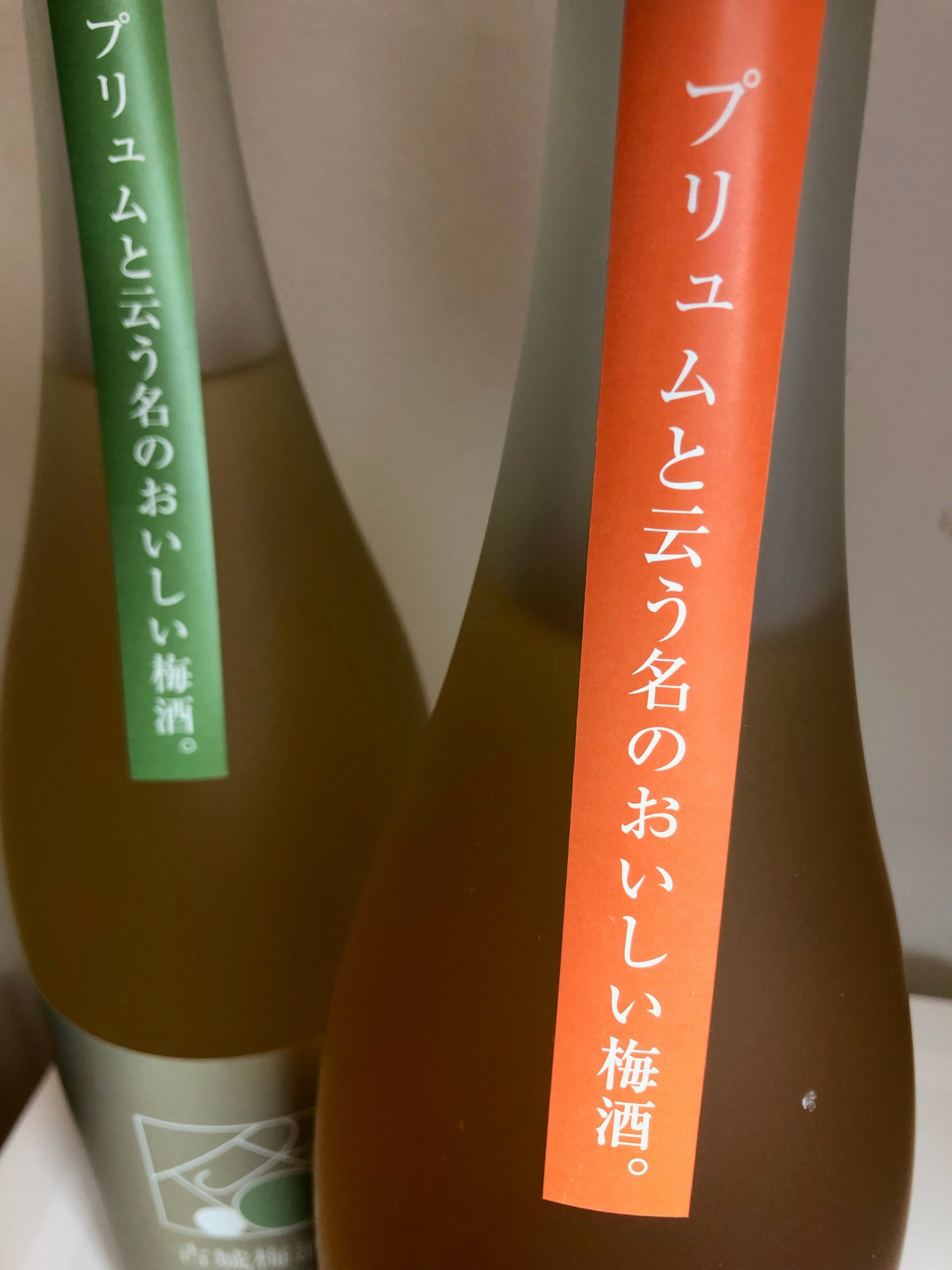 【ふるさと納税】松浦一 プリュム 南高梅酒 古城梅酒 四合瓶2本セット D273