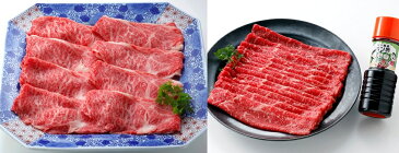 【ふるさと納税】J361伊万里牛ロース&かたしゃぶしゃぶ(合計600g)