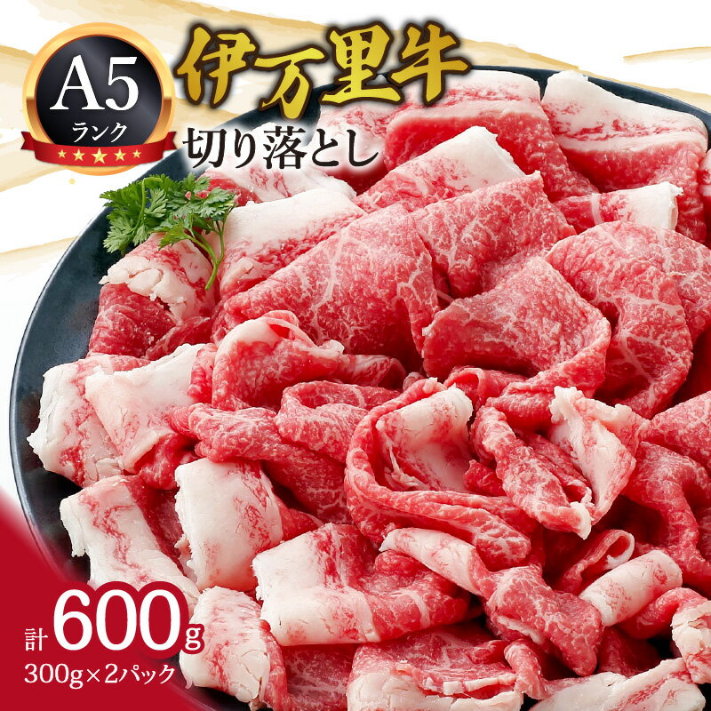 A5 A4厳選 伊万里牛切り落とし 600g 小分け 焼肉 牛丼 炒め物に J940