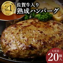 2位! 口コミ数「255件」評価「4.15」佐賀牛入り 熟成 ハンバーグ 約120g×20個 J924