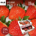 伊万里産「 いちごさん 」　250g × 4 パック　〜鶴田農園〜 B496