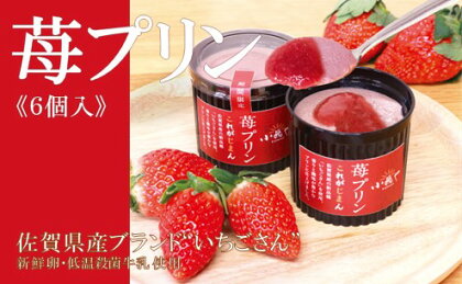 佐賀県産ブランド“いちごさん”100％使用 苺プリン6個入 F169
