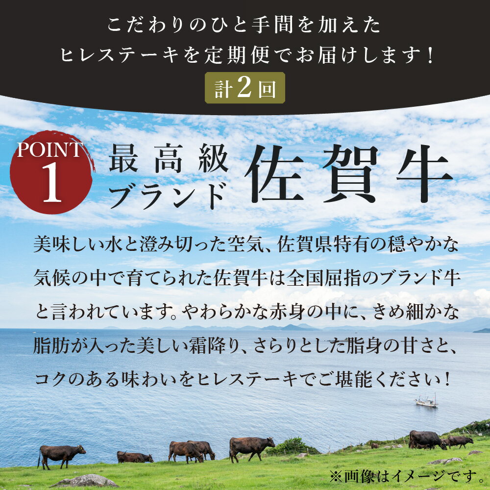 【ふるさと納税】【全2回 定期便】佐賀牛ヒレステーキ　総計1.44kg J410