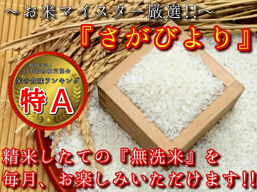 【ふるさと納税】【定期便】無洗米『さがびより』2kg×3袋　毎月×10回 B542