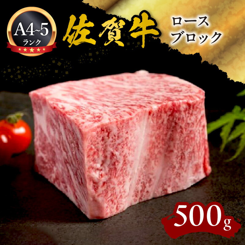 A5 A4 佐賀牛ロースブロック 500g