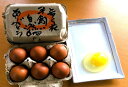 【ふるさと納税】歩く花 たまご 卵 6個入り×2箱 2回定期便 999-B530