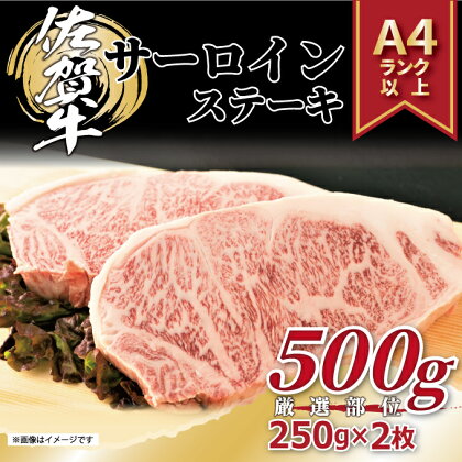 【 佐賀牛 】 艶さし！ サーロイン ステーキ セット　500g（250g×2枚） J1054