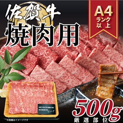 【 佐賀牛 】 艶さし！ 焼肉用　500g J1038