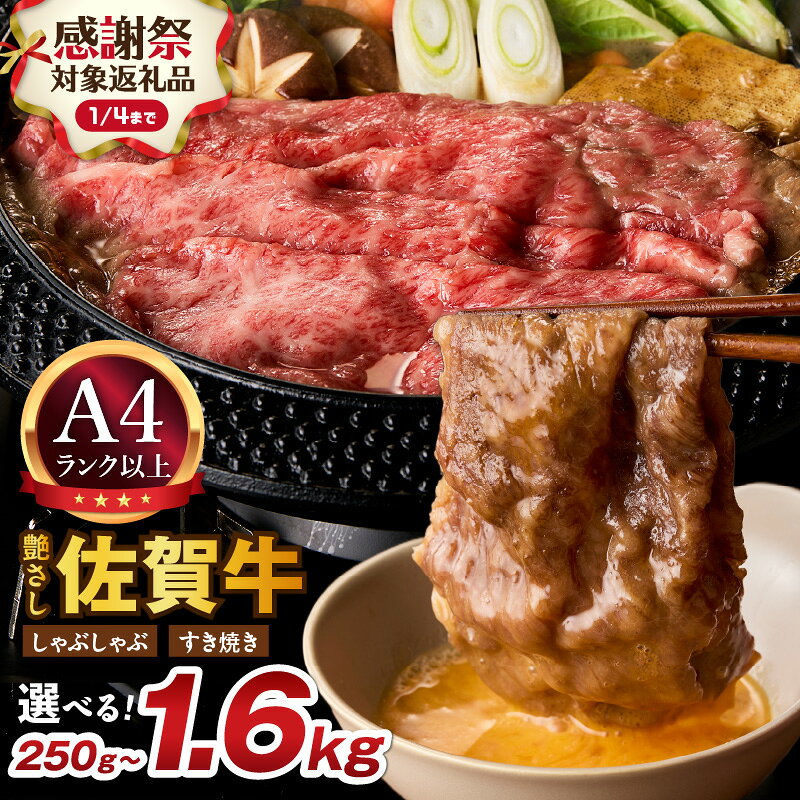 22位! 口コミ数「7件」評価「4.57」【企業努力】【年内発送】佐賀牛 艶さし！ しゃぶしゃぶ ・ すき焼き用 【内容量・発送月が選べる】（ 250g 500g 750g 1.0kg 1.6kg ） 【 牛肉 ブランド牛 黒毛和牛 肉 赤身･･･ 